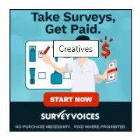 Surveyvoices - Survey Cash  (US)